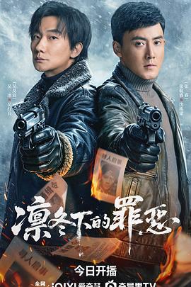 凛冬下的罪恶海报